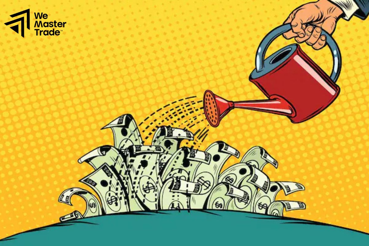 Characteristics of a Safe Haven