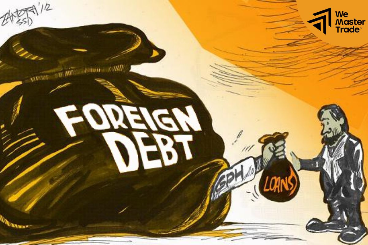 What is foreign debt?