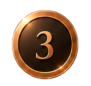 Rank 3 medal
