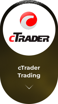 All in on Platforms