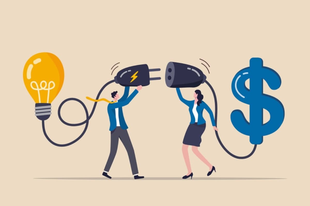 Invest in new-established companies