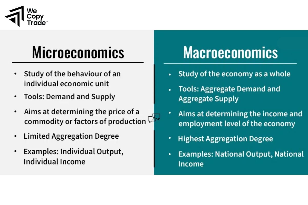 Compare Macroeconomics vs. Microeconomics