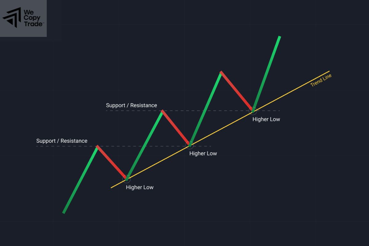 What Are the Different Scaling Settings for Trend lines?
