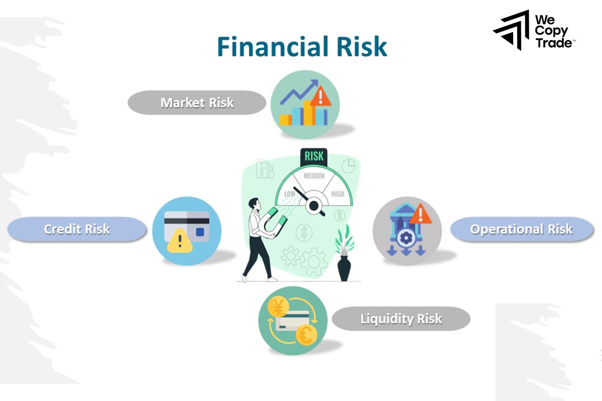 Financial Risk Assessment