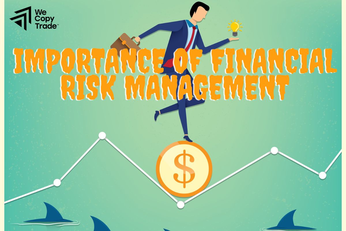 Importance of Financial Risk Management