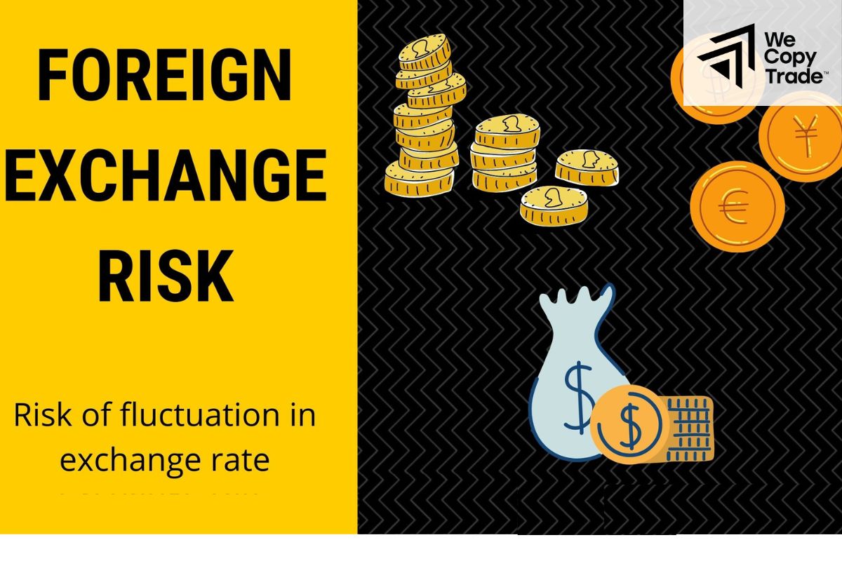 What is foreign exchange risk?