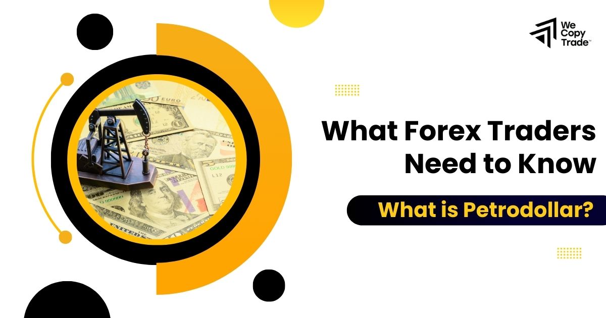 What is Petrodollar? What Forex Traders Need to Know