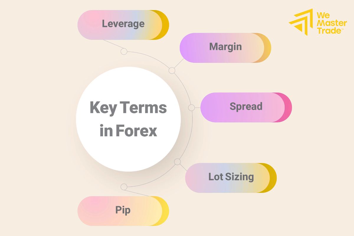 Forex Learning: The Journey to Understand the Market from A to Z 3 mot so thuat ngu quan trong khi hoc forex 1
