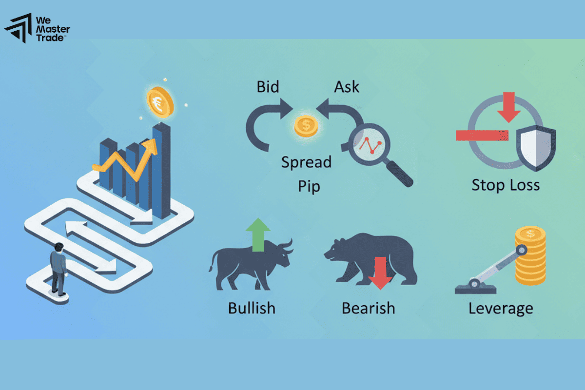 ট্রেডিং কিভাবে শিখবেন? নতুনদের জন্য কার্যকরী ধাপসমূহ 