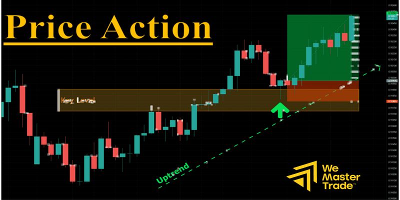 Price Action কী? নতুন ও অভিজ্ঞ ট্রেডারদের জন্য সম্পূর্ণ বাংলা গাইড 4 Price Action শেখার পর আপনার পরবর্তী পদক্ষেপ কী হওয়া উচিত?